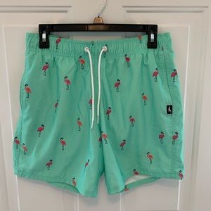 Mens Hollister swim trunk